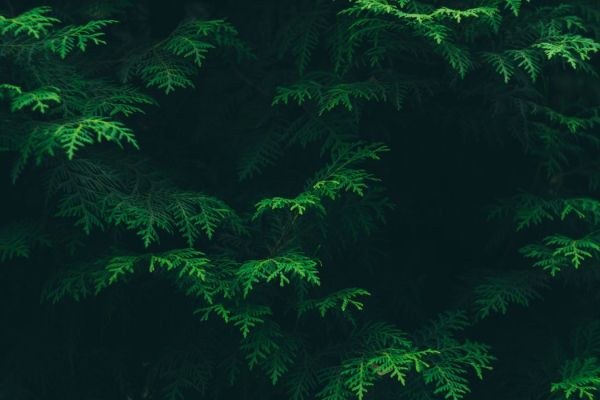 Business e Storytelling: la narrazione al servizio dell’azienda